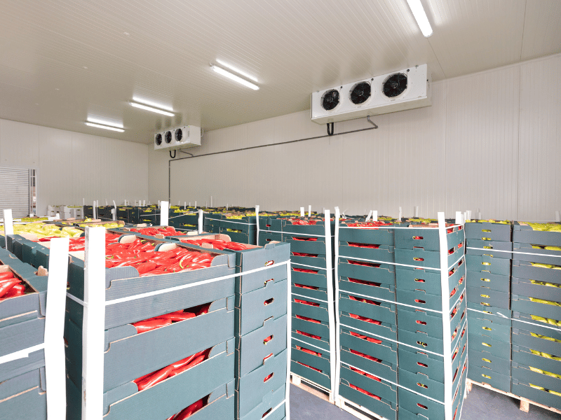 Thi Công Lắp Đặt Kho Lạnh Nông Sản